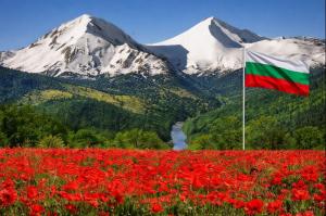 Големи отстъпки за делнични дни !  Пакет 3 Март !