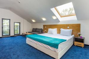 Rooms and Apartments