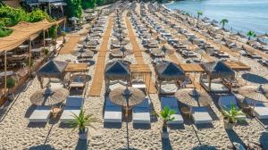 The Beach