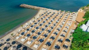 The Beach