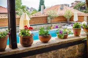 VILLA SOL Pool