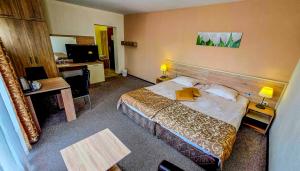 Rooms and Apartments Summer 2026