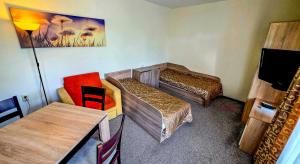 Rooms and Apartments Summer 2026