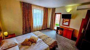 Rooms and Apartments Summer 2026