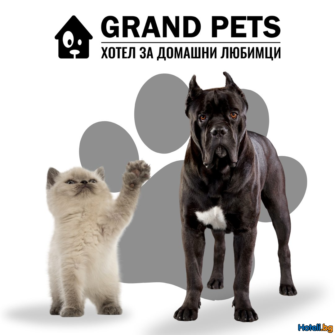 Едно Grand изживяване не само за вас, но и за домашния ви любимец !