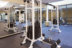 Fitness