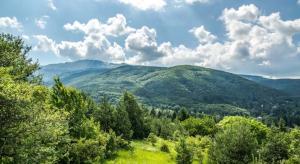 Панорама
